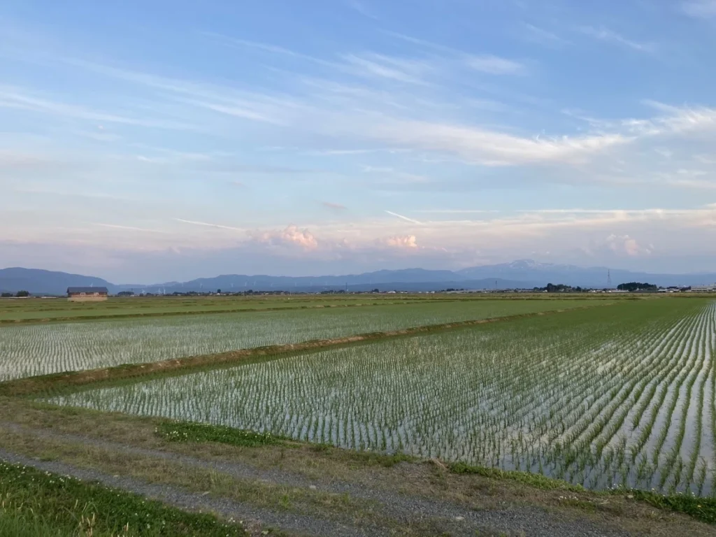 地元山形の風景